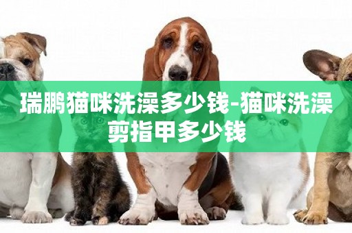 瑞鹏猫咪洗澡多少钱-猫咪洗澡剪指甲多少钱